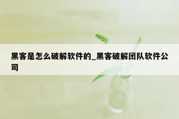 黑客是怎么破解软件的_黑客破解团队软件公司