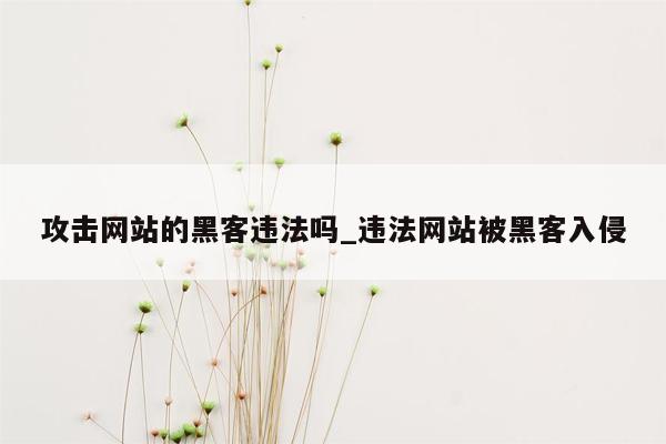 攻击网站的黑客违法吗_违法网站被黑客入侵