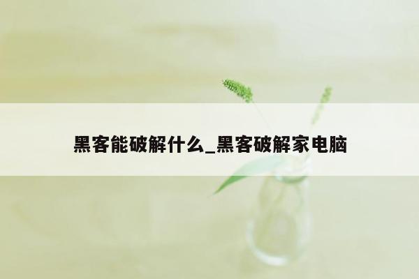 黑客能破解什么_黑客破解家电脑