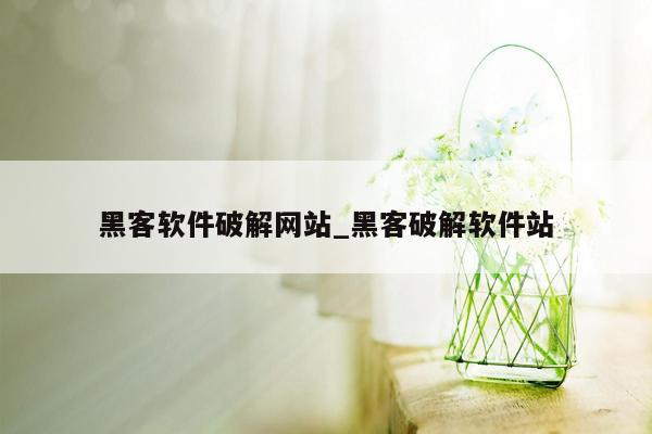 黑客软件破解网站_黑客破解软件站