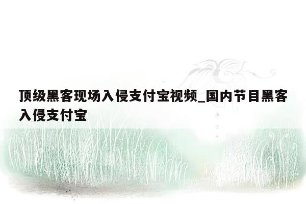 顶级黑客现场入侵支付宝视频_国内节目黑客入侵支付宝