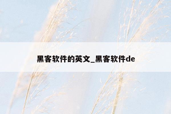 黑客软件的英文_黑客软件de