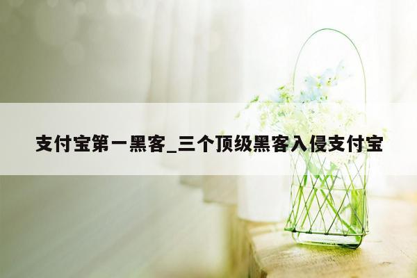 支付宝第一黑客_三个顶级黑客入侵支付宝