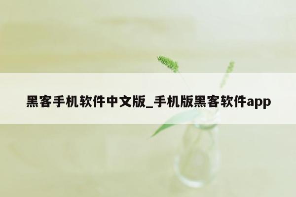 黑客手机软件中文版_手机版黑客软件app