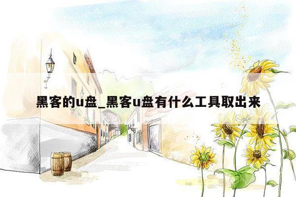 黑客的u盘_黑客u盘有什么工具取出来