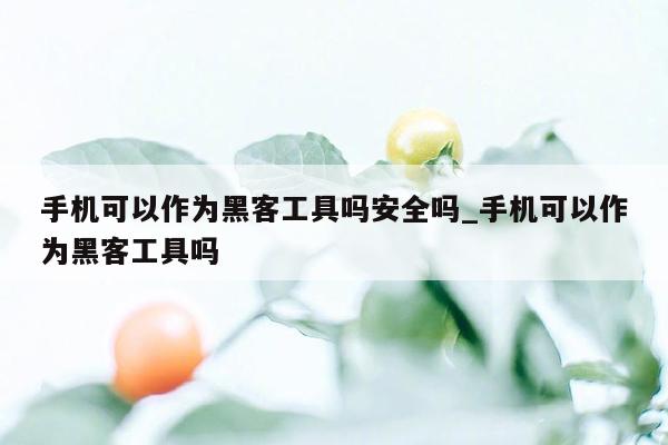 手机可以作为黑客工具吗安全吗_手机可以作为黑客工具吗