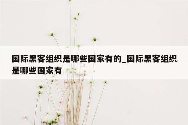 国际黑客组织是哪些国家有的_国际黑客组织是哪些国家有