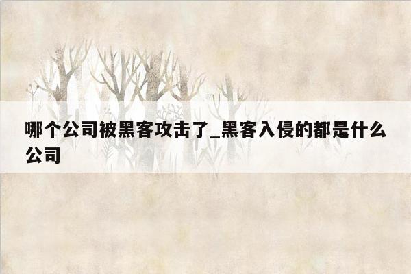 哪个公司被黑客攻击了_黑客入侵的都是什么公司