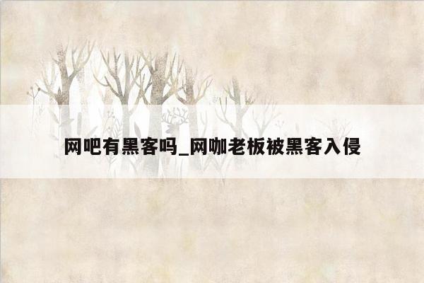 网吧有黑客吗_网咖老板被黑客入侵