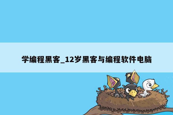 学编程黑客_12岁黑客与编程软件电脑