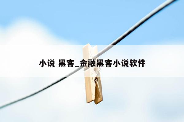 小说 黑客_金融黑客小说软件