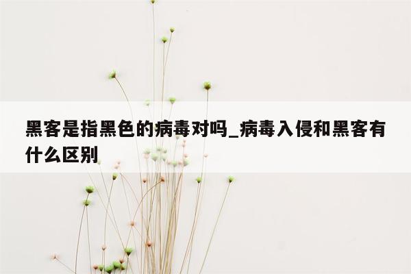 黑客是指黑色的病毒对吗_病毒入侵和黑客有什么区别