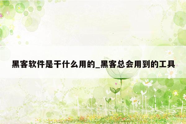 黑客软件是干什么用的_黑客总会用到的工具