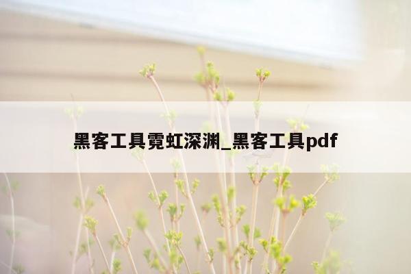 黑客工具霓虹深渊_黑客工具pdf