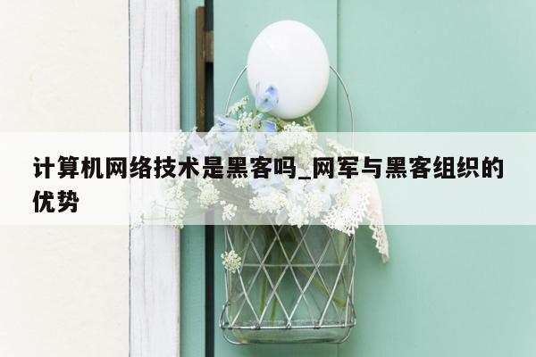 计算机网络技术是黑客吗_网军与黑客组织的优势