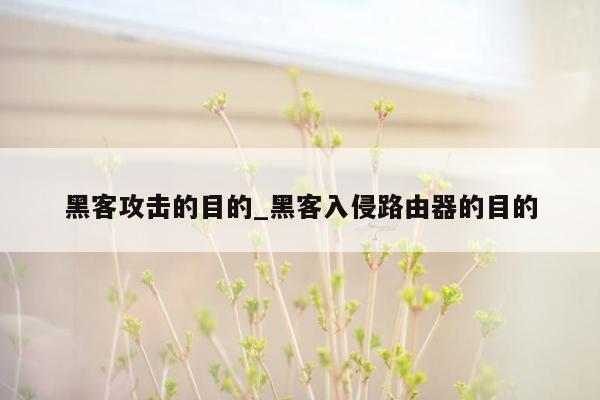 黑客攻击的目的_黑客入侵路由器的目的