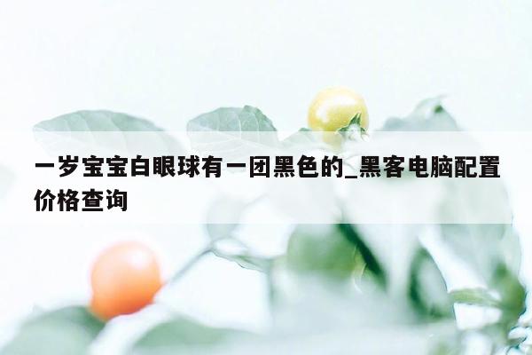 一岁宝宝白眼球有一团黑色的_黑客电脑配置价格查询