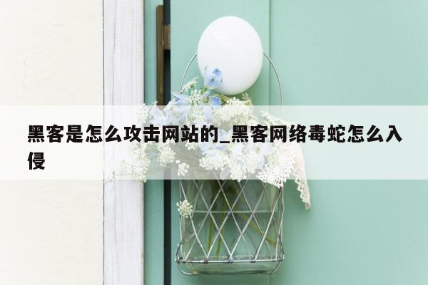 黑客是怎么攻击网站的_黑客网络毒蛇怎么入侵