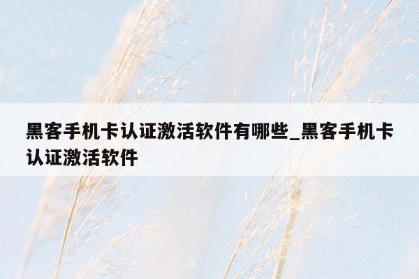 黑客手机卡认证激活软件有哪些_黑客手机卡认证激活软件