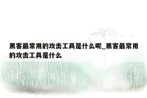 黑客最常用的攻击工具是什么呢_黑客最常用的攻击工具是什么