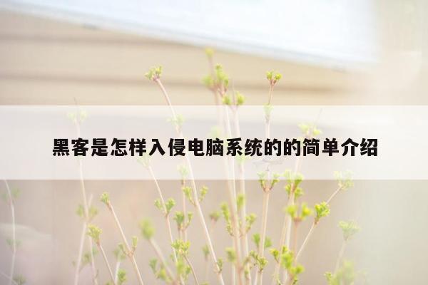 黑客是怎样入侵电脑系统的的简单介绍