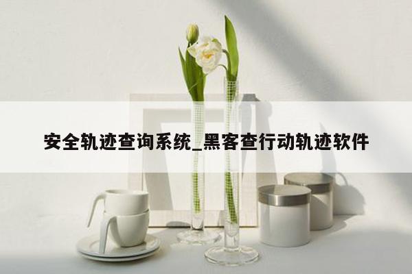 安全轨迹查询系统_黑客查行动轨迹软件