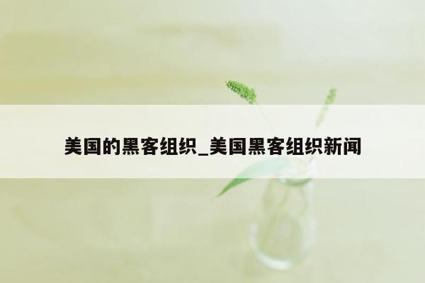 美国的黑客组织_美国黑客组织新闻