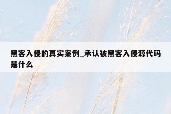 黑客入侵的真实案例_承认被黑客入侵源代码是什么