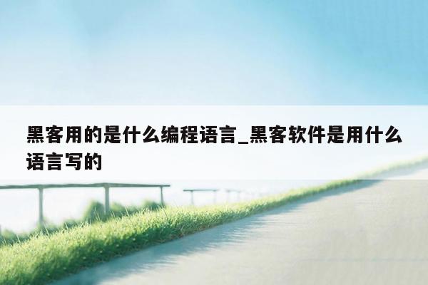 黑客用的是什么编程语言_黑客软件是用什么语言写的