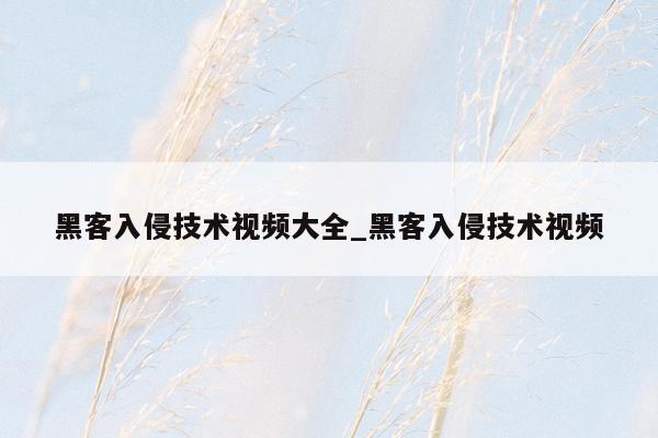 黑客入侵技术视频大全_黑客入侵技术视频