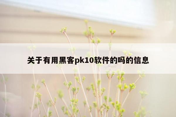 关于有用黑客pk10软件的吗的信息