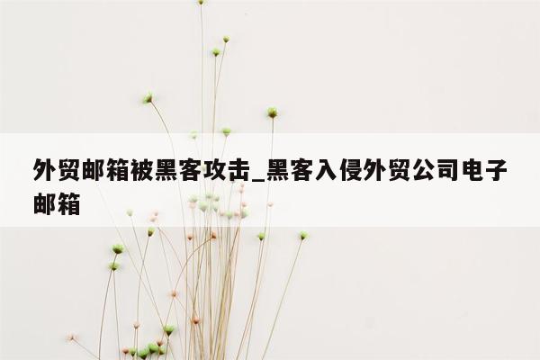 外贸邮箱被黑客攻击_黑客入侵外贸公司电子邮箱