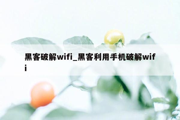 黑客破解wifi_黑客利用手机破解wifi