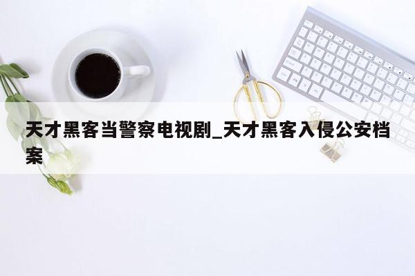 天才黑客当警察电视剧_天才黑客入侵公安档案