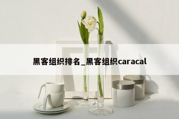 黑客组织排名_黑客组织caracal