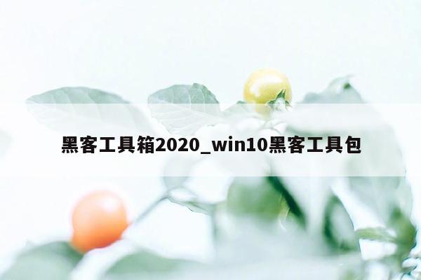 黑客工具箱2020_win10黑客工具包