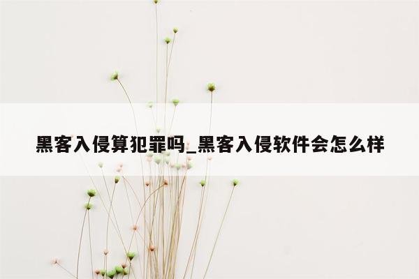 黑客入侵算犯罪吗_黑客入侵软件会怎么样