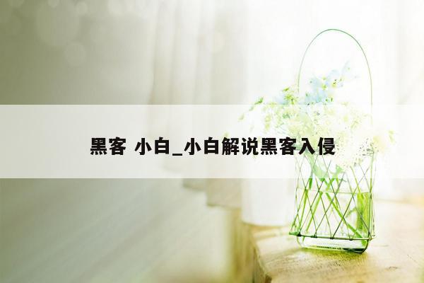 黑客 小白_小白解说黑客入侵