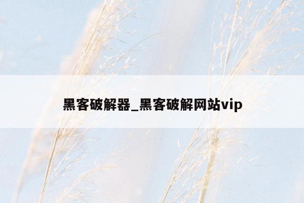 黑客破解器_黑客破解网站vip