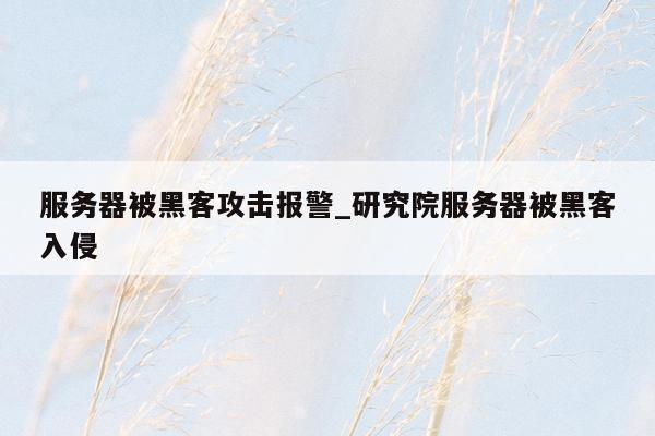 服务器被黑客攻击报警_研究院服务器被黑客入侵