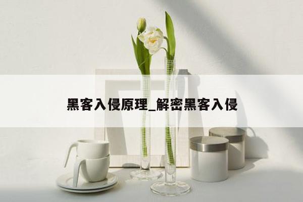 黑客入侵原理_解密黑客入侵