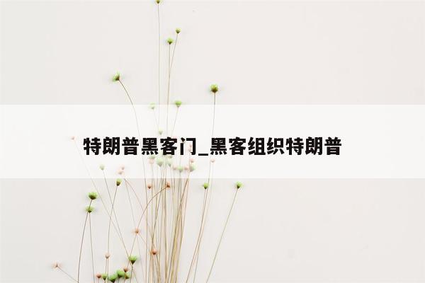 特朗普黑客门_黑客组织特朗普