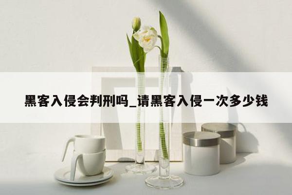 黑客入侵会判刑吗_请黑客入侵一次多少钱