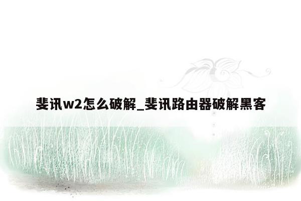 斐讯w2怎么破解_斐讯路由器破解黑客