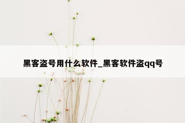 黑客盗号用什么软件_黑客软件盗qq号