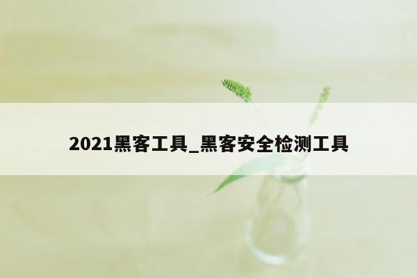 2021黑客工具_黑客安全检测工具