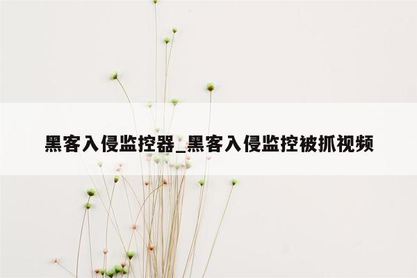 黑客入侵监控器_黑客入侵监控被抓视频