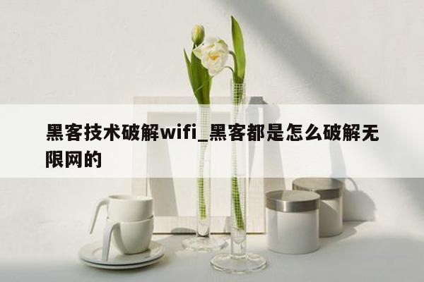 黑客技术破解wifi_黑客都是怎么破解无限网的