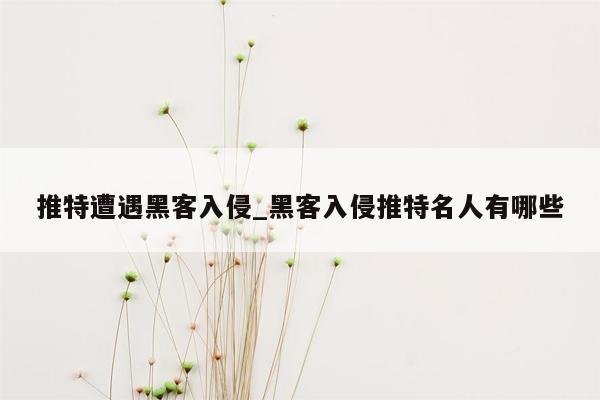 推特遭遇黑客入侵_黑客入侵推特名人有哪些