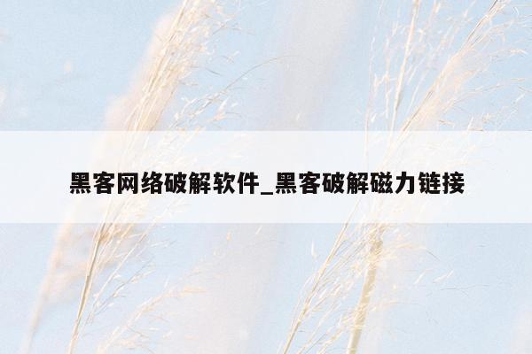 黑客网络破解软件_黑客破解磁力链接